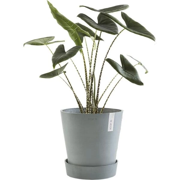 ECOPOTS Amsterdam Onderschotel Op Wielen - Blauwgrijs Ø 41,60 Cm - Afbeelding 2